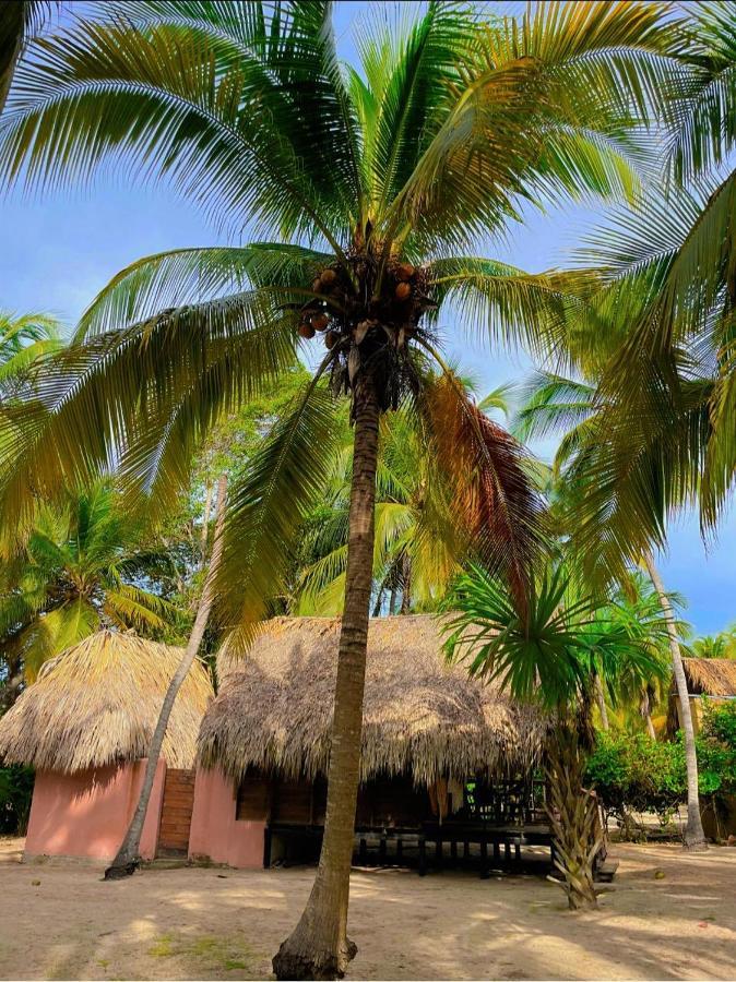 Cabanas Las Estrellas Palomino Exterior photo