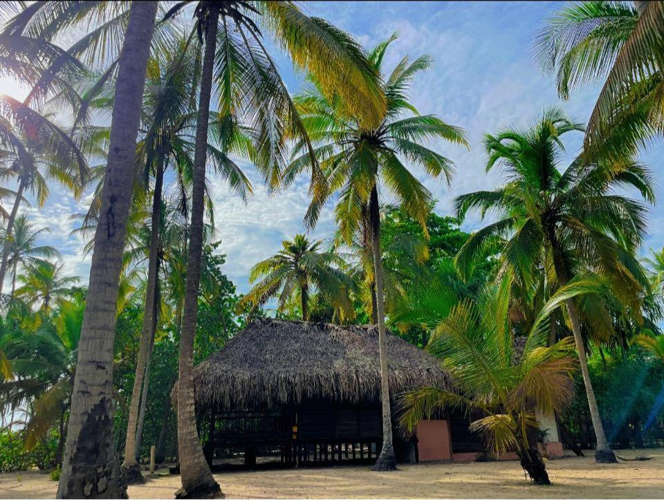 Cabanas Las Estrellas Palomino Room photo